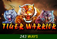 Tiger Warrior 